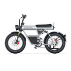 Coswheel GT20S adult E-bike 1500W 48V27.5Ah battery commute Electric Bike,20-inch Fat Tire E-Mountain bike