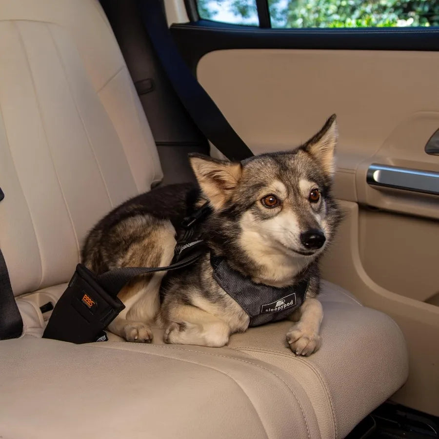 Clickit Sport Plus Crash-Tested and Safety Certified Car Seat Belt Harness for Dogs Designed for Secure Travel in Vehicles Idea