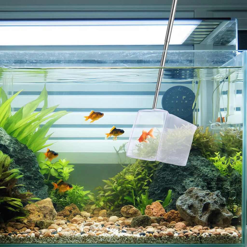 2-Pack 3" Aquarium Nets – Extendable Stainless Steel Handle Shrimp & Fry Net for Baby Fish, Food Residue &Debris Skimming