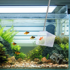 2-Pack 3" Aquarium Nets – Extendable Stainless Steel Handle Shrimp & Fry Net for Baby Fish, Food Residue &Debris Skimming