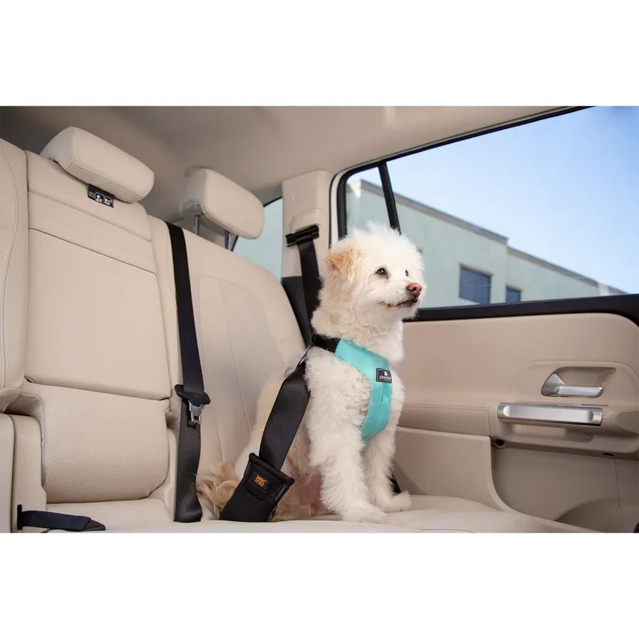 Clickit Sport Plus Car Seat Belt Harness for Dogs - Crash-Tested and Safety Certified Ideal for Traveling Walking and Outdoor A