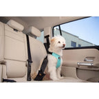 Clickit Sport Plus Crash-Tested and Safety Certified Car Seat Belt Harness for Dogs Designed for Secure Travel in Vehicles Idea