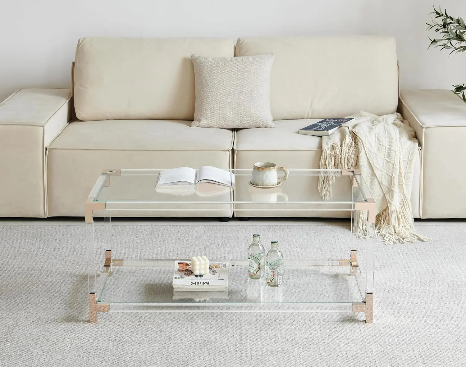 Modern Double Layer Glass Coffee Table for Living Room, Clear Top with Rose Gold Frame, L41xW21xH16