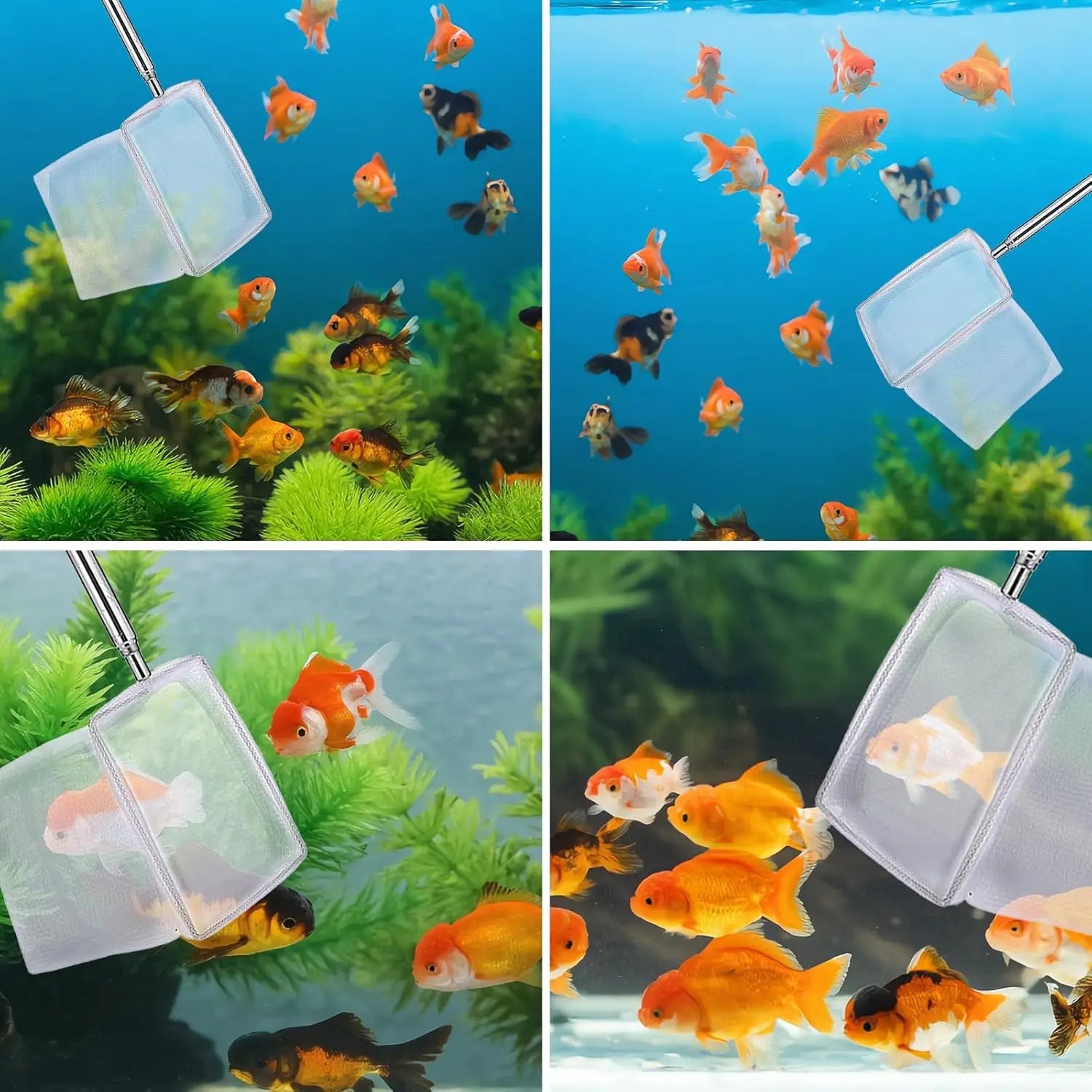 2-Pack 3" Aquarium Nets – Extendable Stainless Steel Handle Shrimp & Fry Net for Baby Fish, Food Residue &Debris Skimming