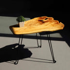 Collection Live Edge Coffee Table, Small Coffee Table, Foldable Lightweight Side Table, Natural Wood Coffee Table, Live Edge Tab