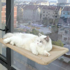 Hanging Cat Bed Heavy Duty Windowsill Kitten Resting Soft Perch Window Hammock Seat with 4 Strong Suction Cups for Indoor cats