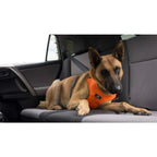 Clickit Sport Plus Car Seat Belt Harness for Dogs - Crash-Tested and Safety Certified Ideal for Traveling Walking and Outdoor A