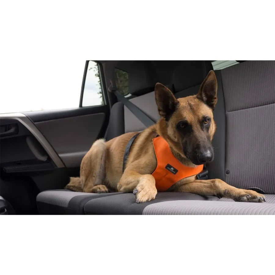 Clickit Sport Plus Crash-Tested and Safety Certified Car Seat Belt Harness for Dogs Designed for Secure Travel in Vehicles Idea