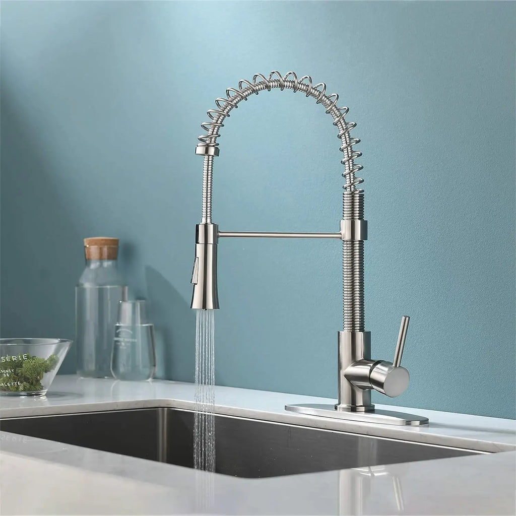 Brushed Nickel Kitchen Faucet with Sprayer, High Arc Single Handle, Stainless Steel One-Hole Faucet for Farmhouse, RV, Bar, Laun
