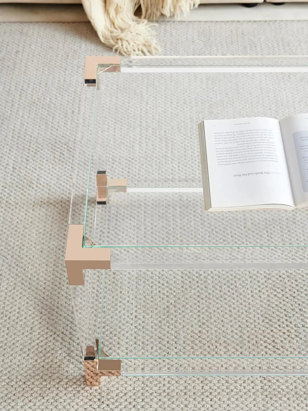 Modern Double Layer Glass Coffee Table for Living Room, Clear Top with Rose Gold Frame, L41xW21xH16