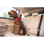 Clickit Sport Plus Car Seat Belt Harness for Dogs - Crash-Tested and Safety Certified Ideal for Traveling Walking and Outdoor A