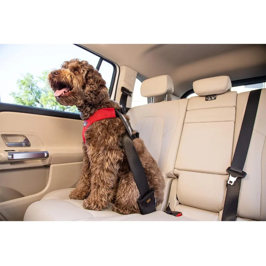 Clickit Sport Plus Car Seat Belt Harness for Dogs - Crash-Tested and Safety Certified Ideal for Traveling Walking and Outdoor A