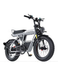 Coswheel GT20S adult E-bike 1500W 48V27.5Ah battery commute Electric Bike,20-inch Fat Tire E-Mountain bike