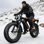 【Brand+】snow Electric Bicycle,2000w 20inches 48v Ebike,comes Mobile Phone Holder/lock,free Local Shipping For Electric Bike