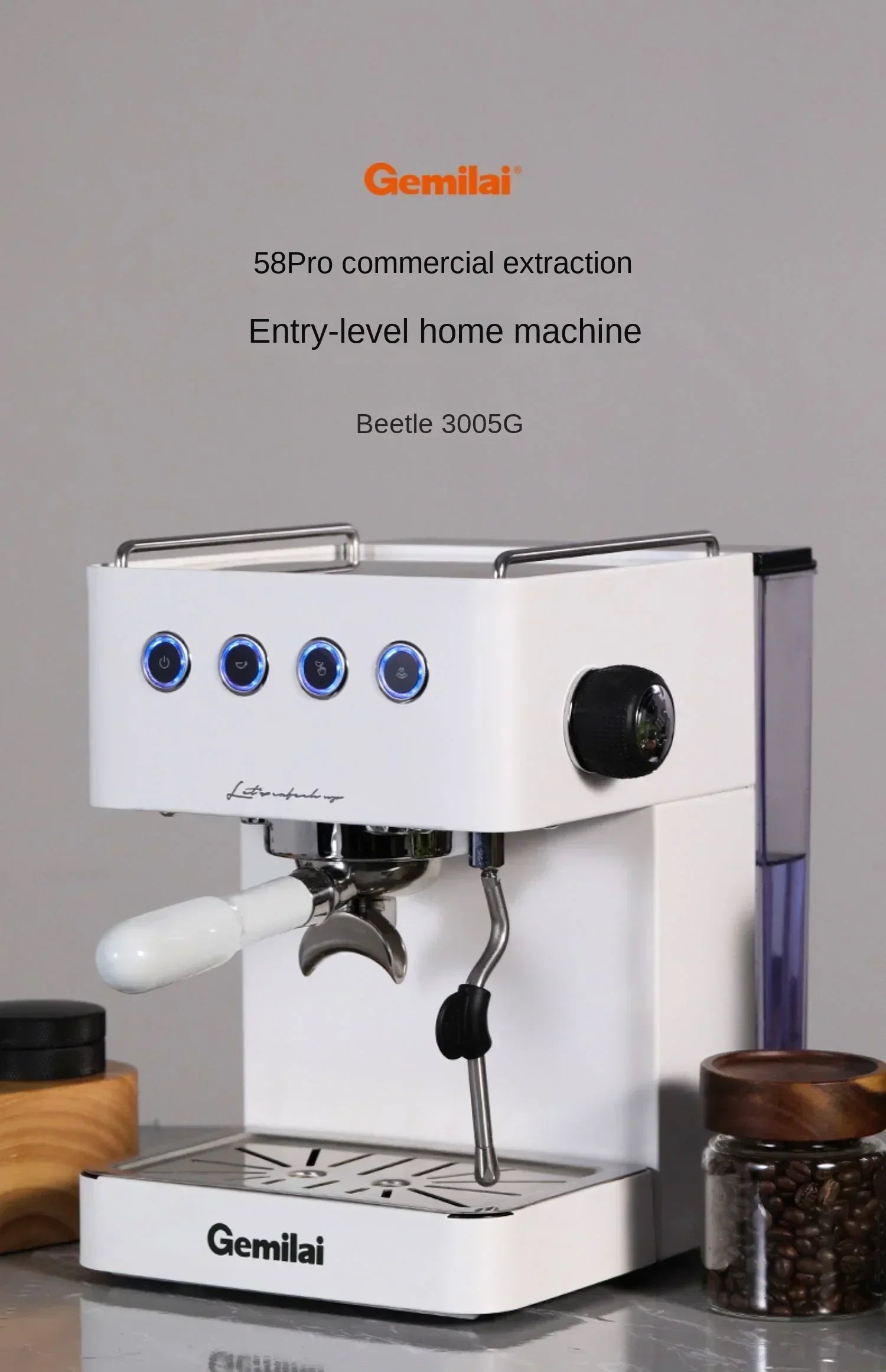220V Gemini CRM3005G Home Coffee Machine Semi Automatic Office Small Italian Concentrated Steam AD