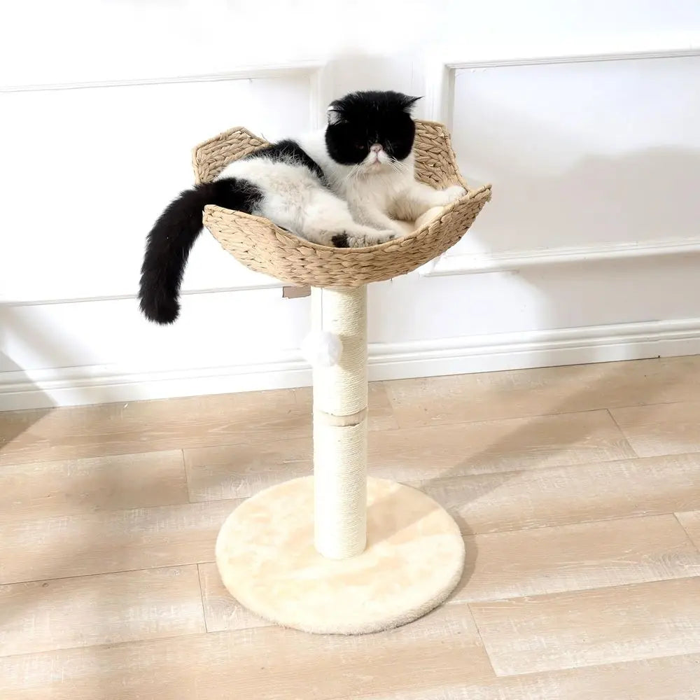 Large Cat Tower with 17.7 Rattan Basket, Handwoven Bed, Window Perch for Cats up to 25lbs