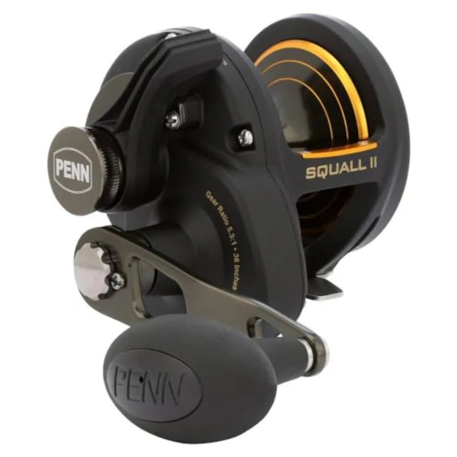 Squall II Lever Drag Fishing Reel Size 25 with Graphite Body and Sideplates Stainless Steel Main and Pinion Gears Ideal for Hea