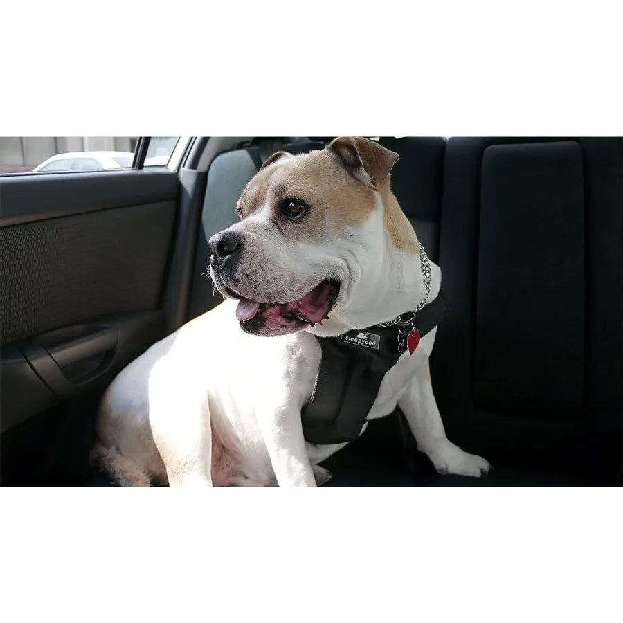 Clickit Sport Plus Crash-Tested and Safety Certified Car Seat Belt Harness for Dogs Designed for Secure Travel in Vehicles Idea